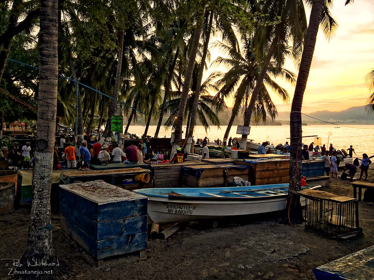 Fishermen's Market - Zihuatanejo Fishermen's Market - Zihuatanejo