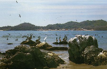 Playa Cuachalalata - Isla Ixtapa Playa Cuachalalata - Isla Ixtapa