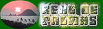 Real de Palmas 102-B, Sector 1