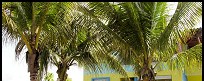 Casa de Luis lawn and hammocks