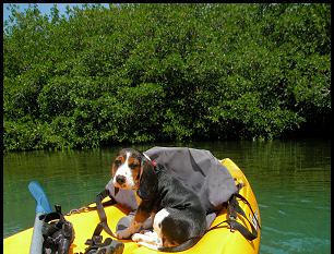 Kayaking in the lagoon