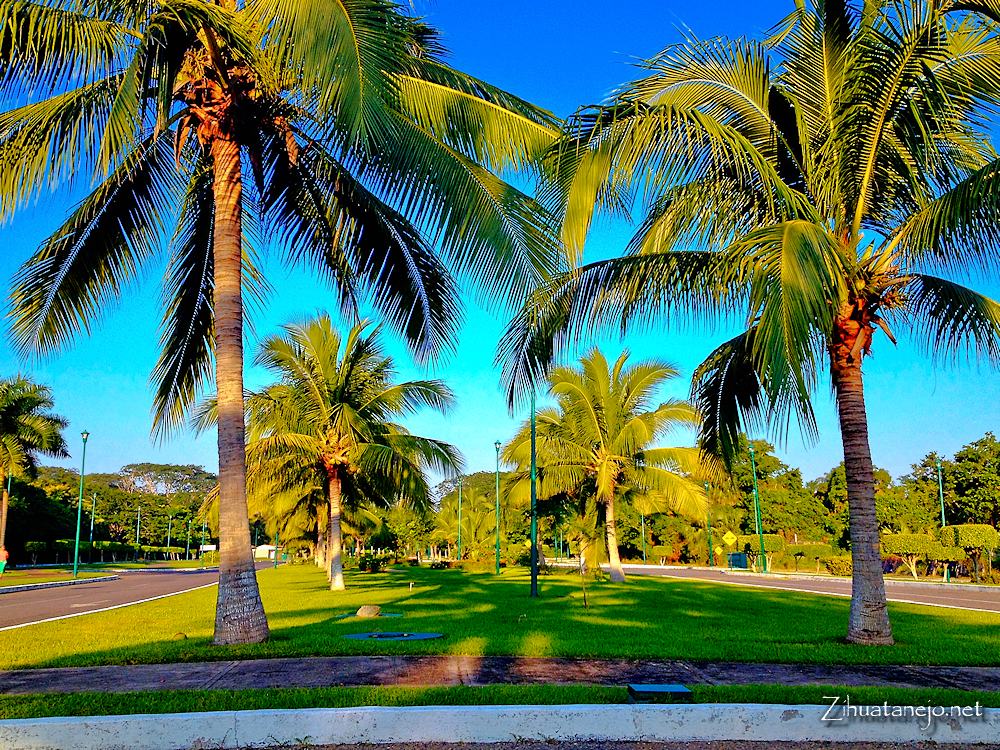 Paseo de los Viveros, Ixtapa