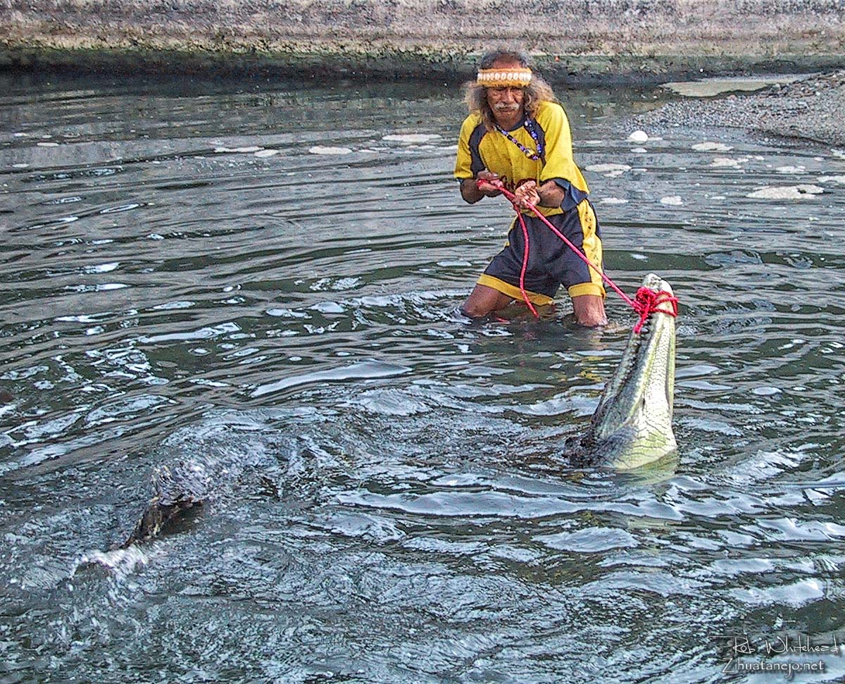 Tamakún captures a crocodile, Zihuatanejo