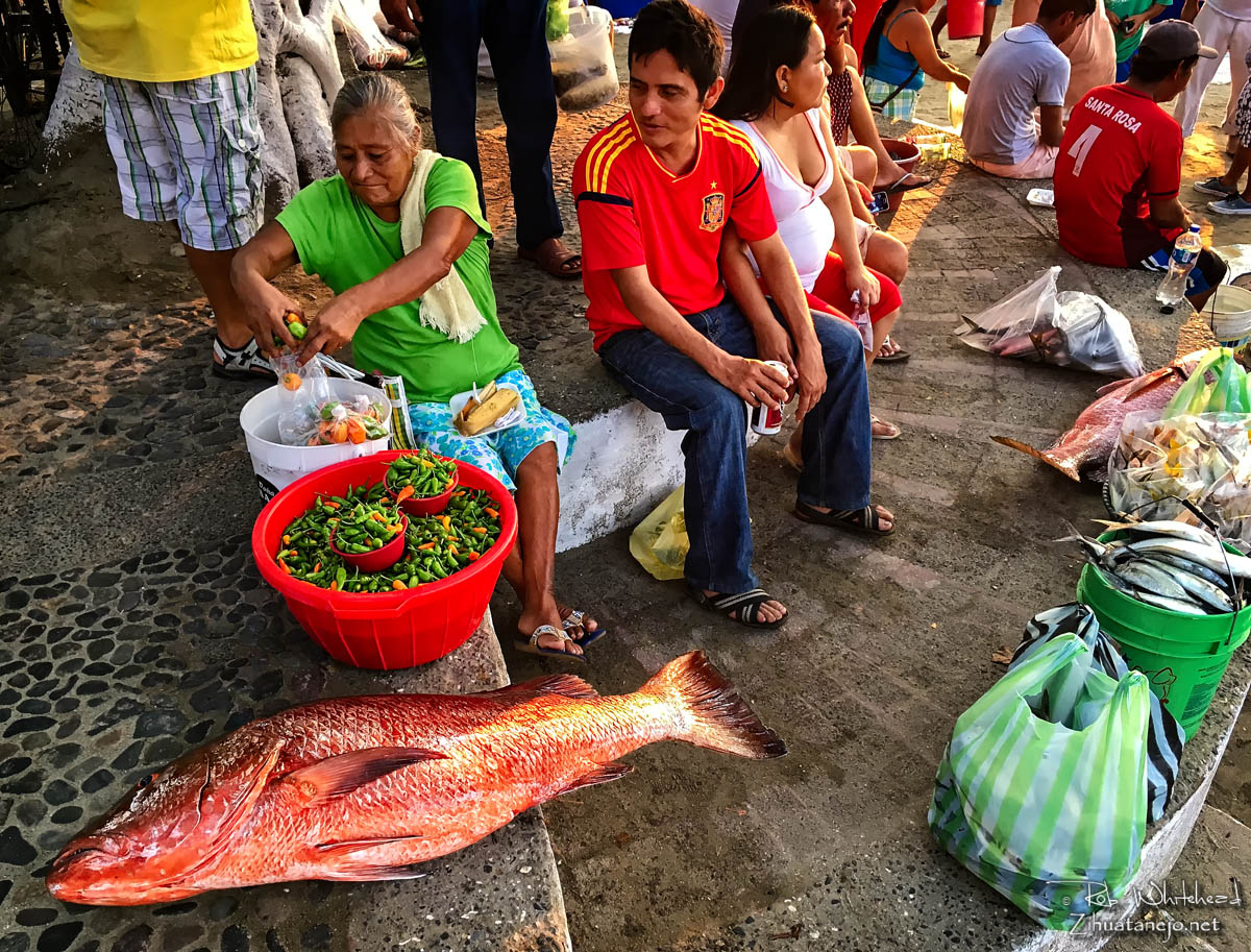 Red snapper and chili peppers in the fishermen's market, Zihuatanejo