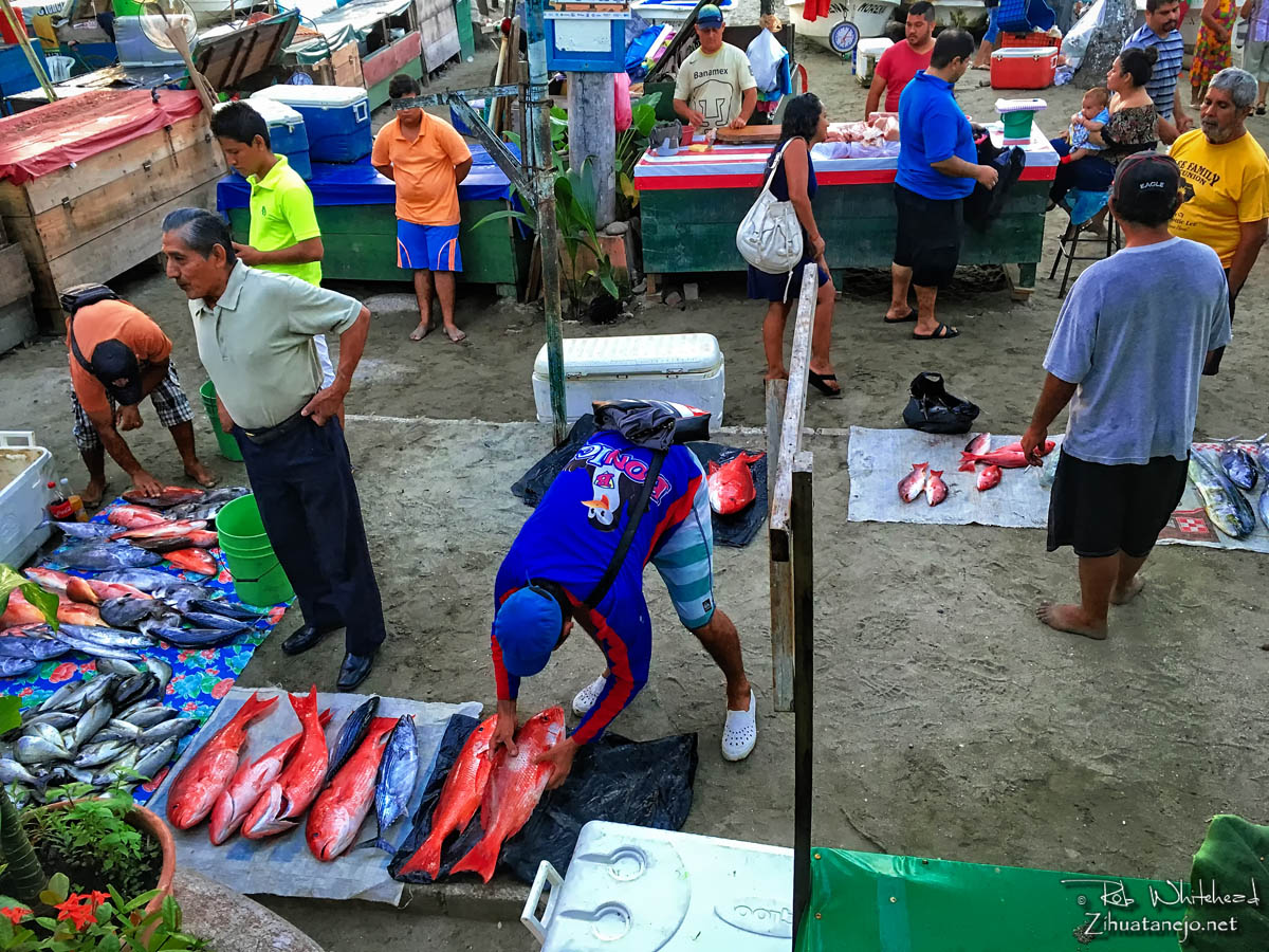 Fishermen's market on the downtown beach, Zihuatanejo