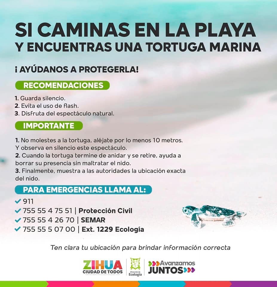 Aydanos a proteger las tortugas