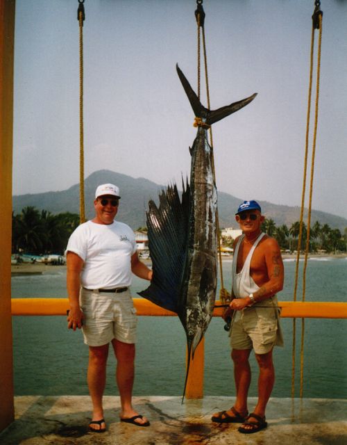 Sailfish